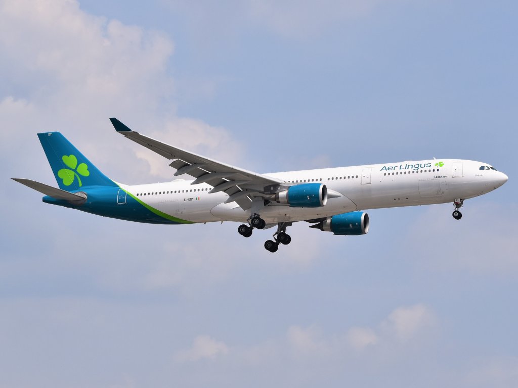 Aer Lingus employees start petition for state aid